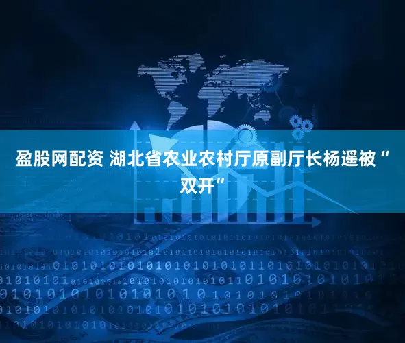 盈股网配资 湖北省农业农村厅原副厅长杨遥被“双开”