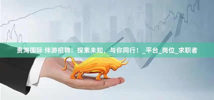贵海国际 伴游招聘：探索未知，与你同行！_平台_岗位_求职者